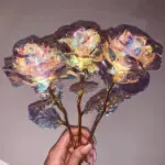 Galaxy Rose - Image 7