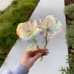 Galaxy Rose - Image 10