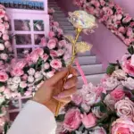 Galaxy Rose - Image 6